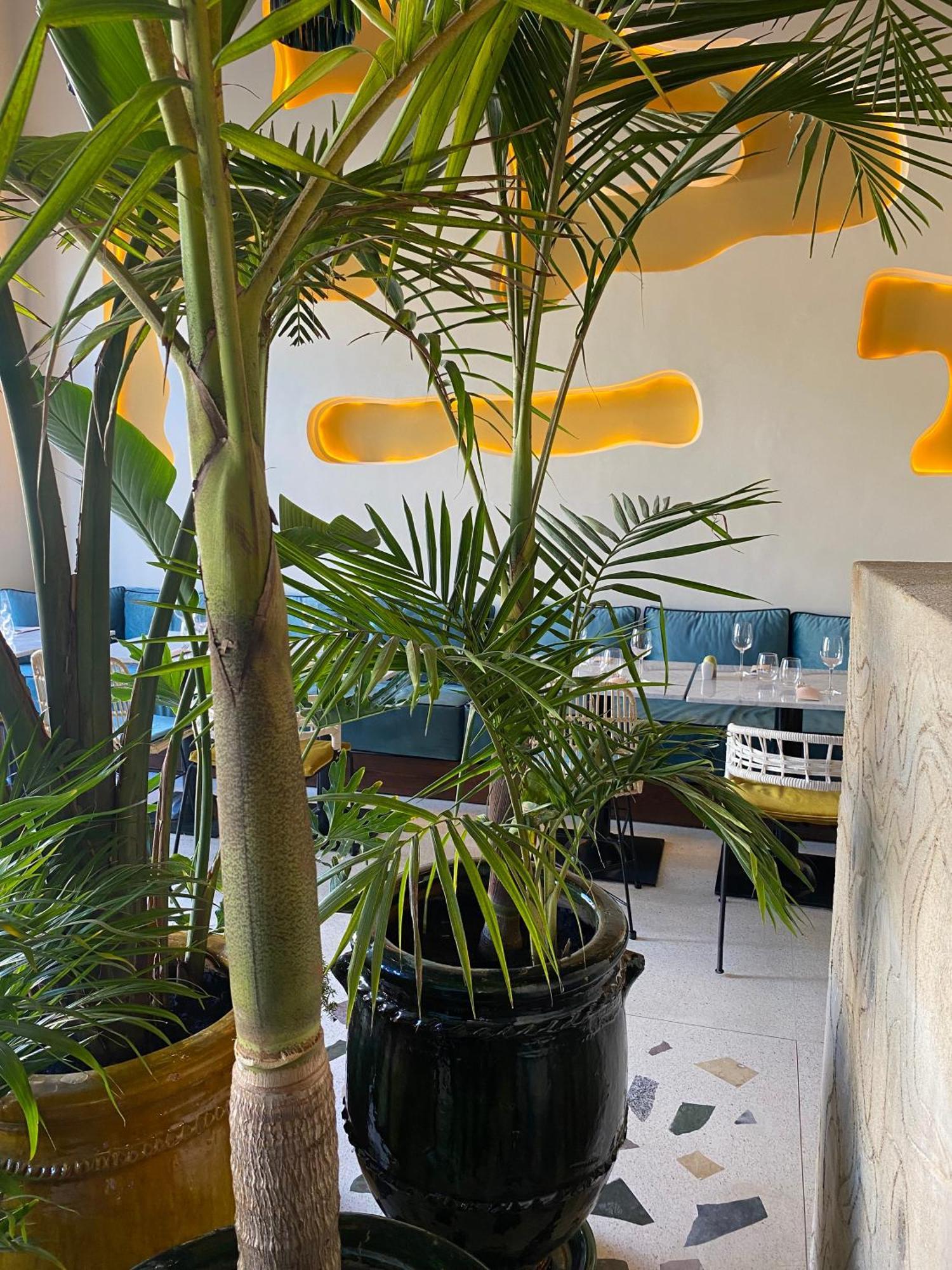 Le Palazzo Hotel Essaouira Luaran gambar